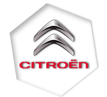 ayhan otomotiv izmir citroen servisi